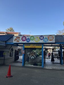 市川動物園パンチ君